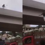 Quiso hacer un video viral lanzándose de un puente a un camión en movimiento y todo terminó en tragedia