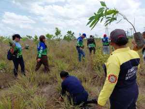 Inicia Plan de Reforestación Chuquisaca en Aragua, Monagas, Zulia y Anzoátegui