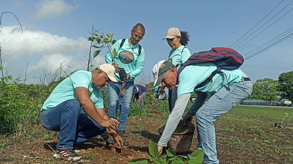 Inició en Cojedes Reto 500 Árboles para San Carlos