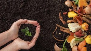 Más de 1.300 personas inician seminario virtual de conciencia ambiental