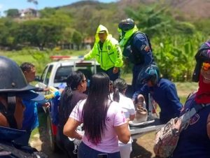 Murió hombre tras ser atacado por abejas