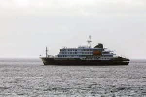 OMS: hay ocho casos de hantavirus en el crucero MV Hondius