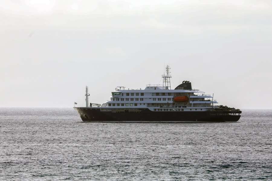 OMS: hay ocho casos de hantavirus en el crucero MV Hondius