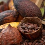 Precio del cacao se recupera y pasa los 4.000 dólares la tonelada