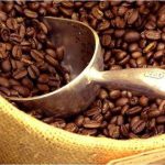 Premiarán excelencia de variedades de café arábica cultivadas en el país
