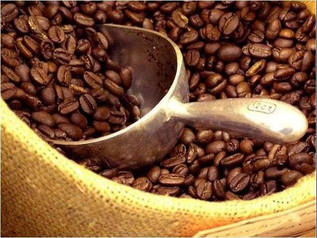 Premiarán excelencia de variedades de café arábica cultivadas en el país