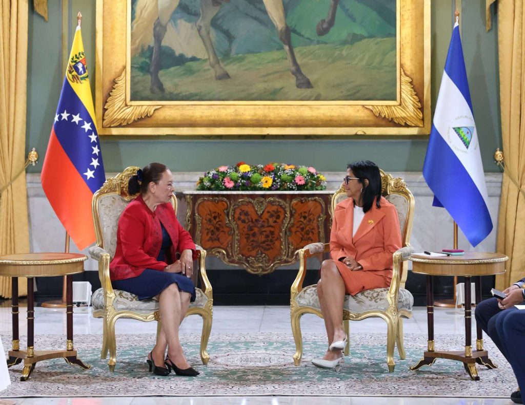 Presidenta (E) recibió cartas credenciales de tres nuevos embajadores