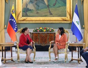Presidenta (E) recibió cartas credenciales de tres nuevos embajadores
