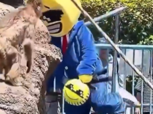 Un hombre invade el recinto donde vive Punch, el monito viral