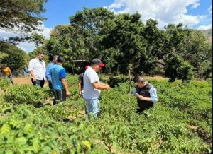 Acav convoca al programa formativo Maestras y Maestros Agrícolas