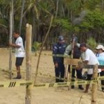 Protegen nuevos nidos de tortugas marinas en Cuyagua y Choroní