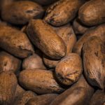 ¿En qué beneficia al productor venezolano la nueva Ley del Cacao?