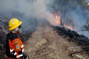 Bolivia declara desastre en San Lorenzo por avance de fuegos forestales