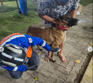 El veterinario que cruzó fronteras para salvar vidas: la historia de Pedro Krauss