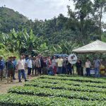 En Trujillo suman 50.000 plantas de vivero al plan café de Campo Elías