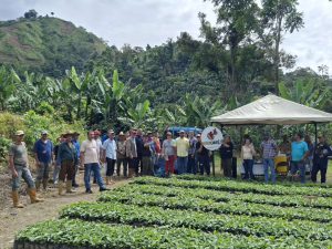 En Trujillo suman 50.000 plantas de vivero al plan café de Campo Elías