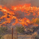 Incendio en España sorprendió a las víctimas mientras buscaban una salida en coche o a pie