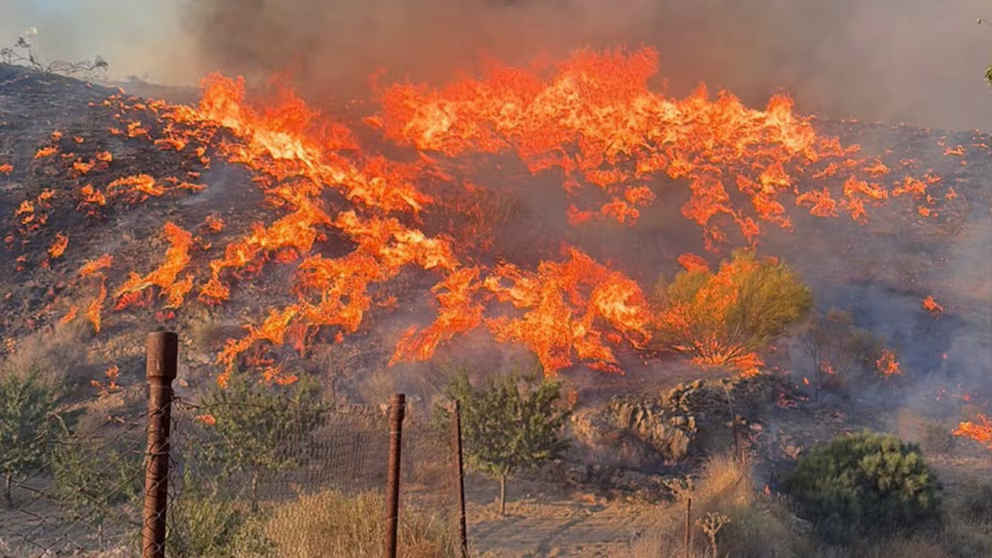 Incendio en España sorprendió a las víctimas mientras buscaban una salida en coche o a pie
