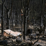 Las fotos de la devastación en España por los incendios forestales