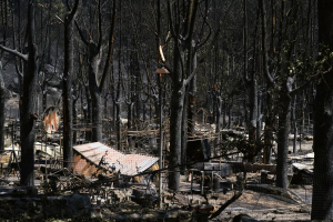 Las fotos de la devastación en España por los incendios forestales