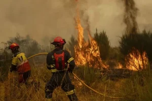 Evacuadas más de 60 mil personas ante incendios activos en el sur de Francia