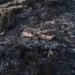 Al menos 12 muertos en combate contra incendios forestales al sur de España