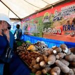 Más de 23.000 toneladas de alimentos distribuidas a través de las Ferias del Campo