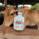 Miranda supera 18.000 animales vacunados contra la fiebre aftosa