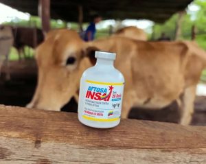 Miranda supera 18.000 animales vacunados contra la fiebre aftosa