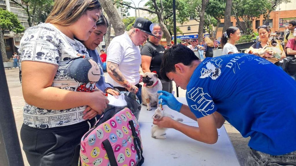 Ofrecen a mascotas rescatadas un nuevo hogar