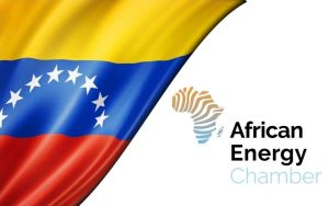 Países de África quieren invertir en Venezuela