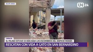 Rescatan con vida gato atrapado 33 días después de los sismos