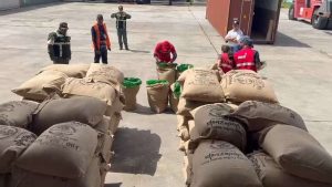 Venezuela exportó 24 toneladas de café verde hacia Turquía