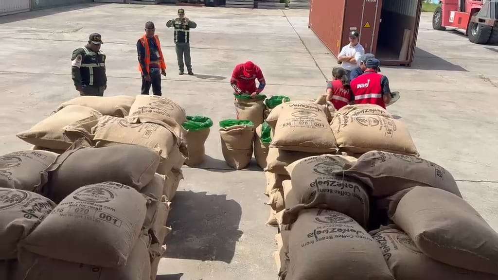 Venezuela exportó 24 toneladas de café verde hacia Turquía