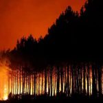 Venezuela expresa solidaridad con España y Francia por incendios forestales