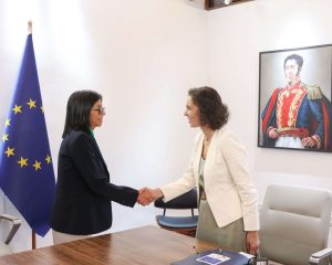 Venezuela y Comisaria Europea evalúan apoyo técnico tras terremotos