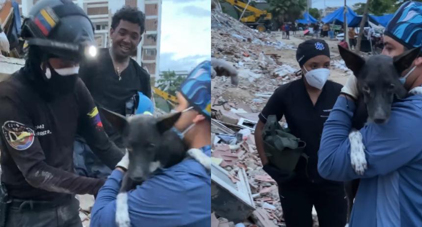 Lograron rescatar a un perro tras 19 días bajo los escombros de la OPP 26 en La Guaira