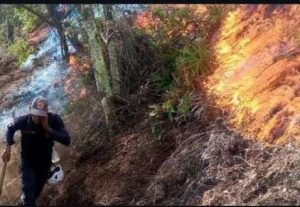 Bomberos y PC Trujillo combaten incendio forestal en Carache