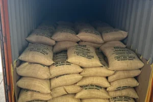 Desde Lara exportan 24,9 toneladas de café verde rumbo a Italia