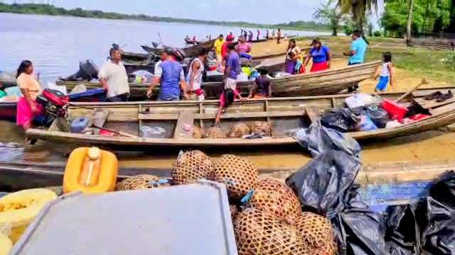 Comenzó la temporada de cangrejos en Delta Amacuro