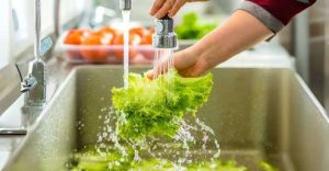 Higiene de alimentos es vital ante desastres