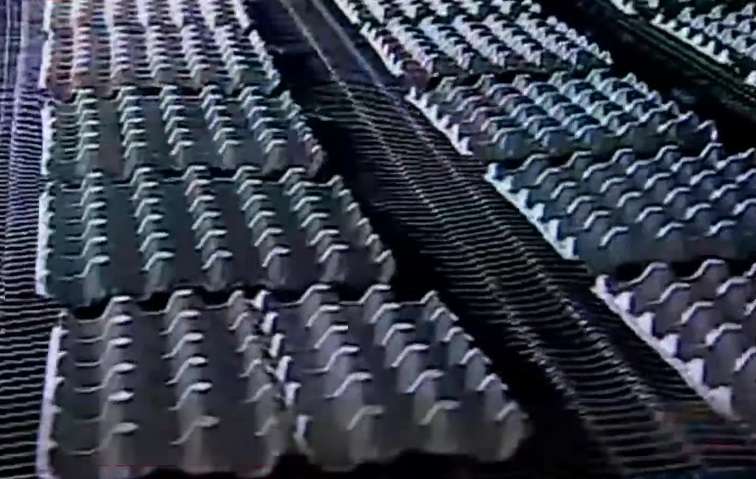 Molanca destaca gestión del Gobierno para reducir tiempo del trámite de exportación
