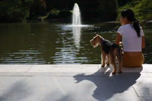 Nueva ola de calor afecta a varios países de Europa