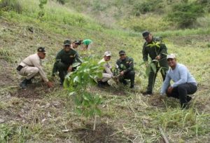 Plantan más de 2.000 árboles en el Parque Henri Pittier