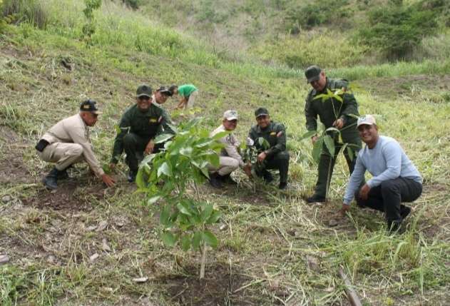 Plantan más de 2.000 árboles en el Parque Henri Pittier