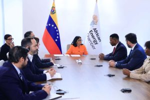 Presidenta (E) evalúa alianzas de inversión en hidrocarburos con Cámara Africana de Energía