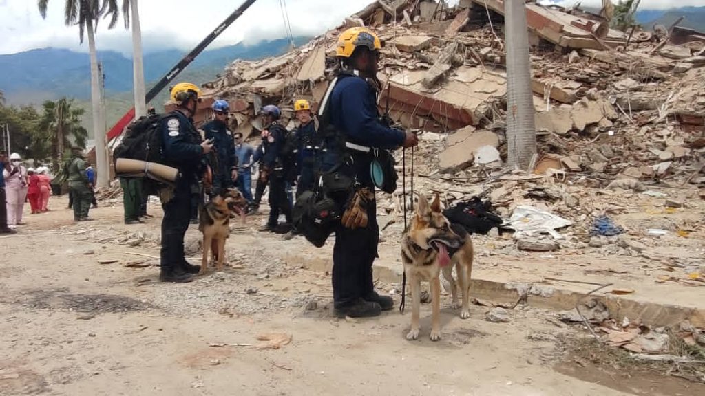 Sanar el trauma - Últimas Noticias