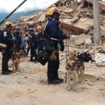 Sanar el trauma – Últimas Noticias