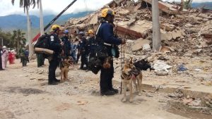 Sanar el trauma - Últimas Noticias
