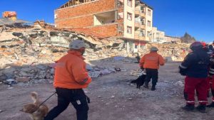 Venezuela despliega ayuda humanitaria y equipos de rescate en apoyo al pueblo colombiano